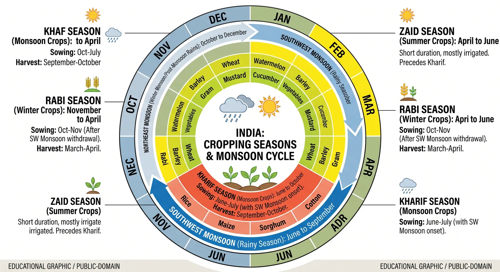 Colorful circular infographic showing India's Cropping Seasons and Monsoon Cycle with Kharif (monsoon crops June-Oct), Rabi (winter crops Nov-Apr), and Zaid (summer crops Apr-Jun) seasons, with crop names like rice, wheat, maize, cotton placed in their respective seasons