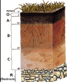 Japanese soil power electricity harvesting system
