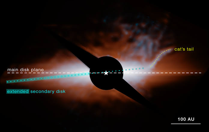 JWST MIRI Image Diagram of Beta Pictoris Cat's Tail Structure