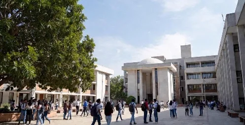 University students engaging in discussion on campus